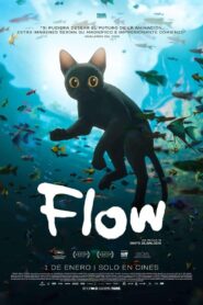 Flow (2024) 1080p Latino HD